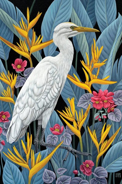 Fine Art Print: Cattle Egret by Vasilisa Romanenko