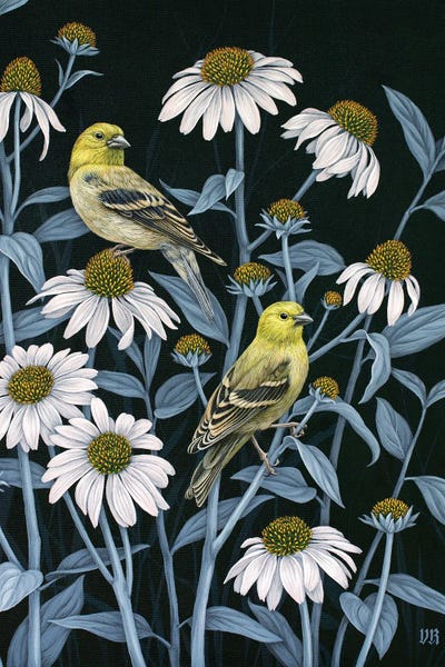 Vasilisa Romanenko: Finches And Coneflowers by Vasilisa Romanenko