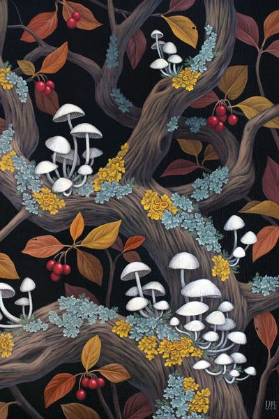 Mushrooms: Habitat by Vasilisa Romanenko