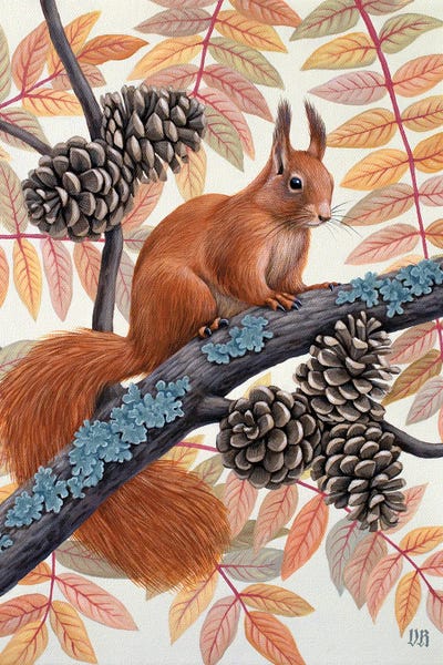 Vasilisa Romanenko: Squirrel by Vasilisa Romanenko