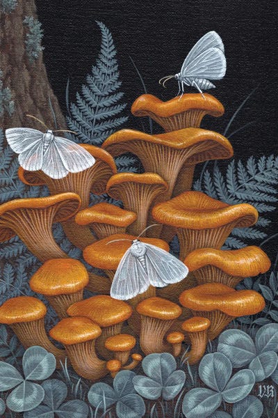 Mushrooms: Interlude by Vasilisa Romanenko