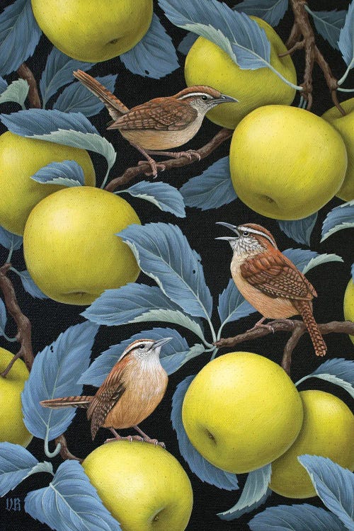 Carolina Wrens In Apple Tree