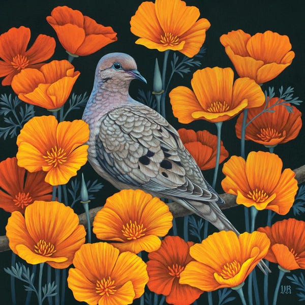 Wildflowers: Mourning Dove by Vasilisa Romanenko