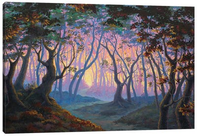 Auroras Arrival Canvas Art Print - Enchanted Forests