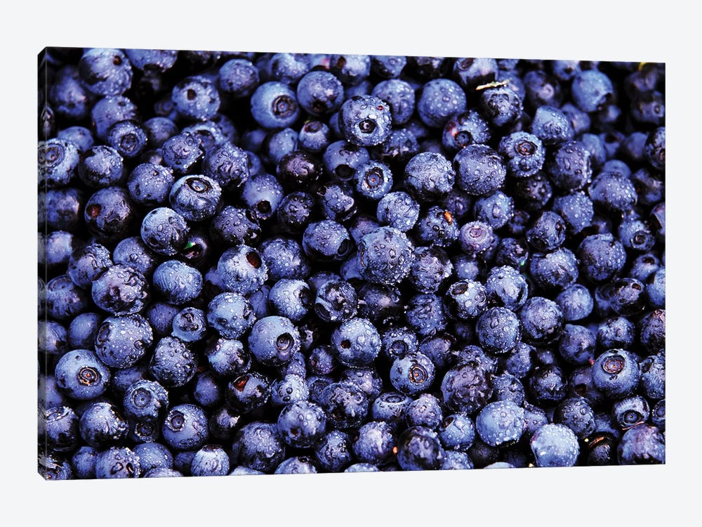 Bilberry Close Up Of Harvested Berries, North America by Jan Vermeer 1-piece Canvas Wall Art