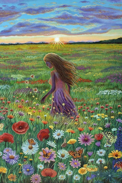 Dreamer: The Meadow by Verena Wild