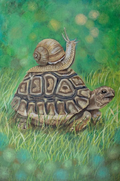 Fine Art Print: Turtle And Snail by Verena Wild