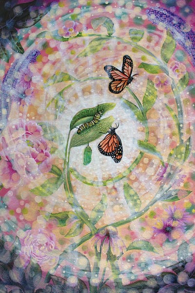 Verena Wild: Metamorphosis by Verena Wild