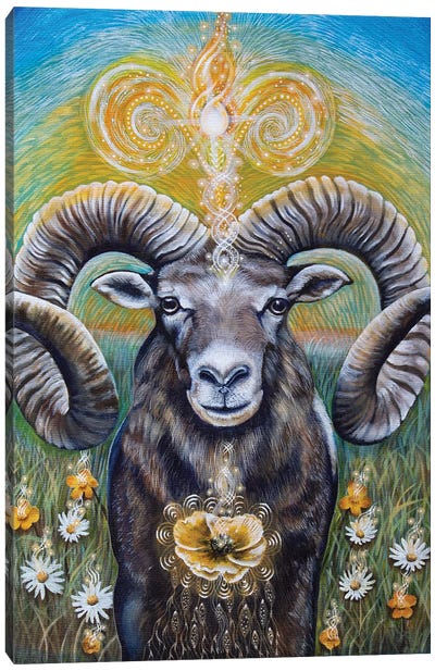 Aries Canvas Art Print - Rams