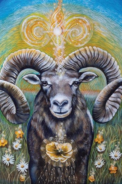 Rams: Aries by Verena Wild