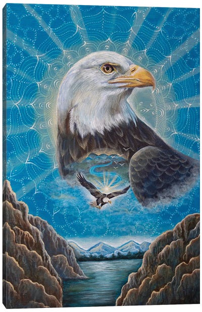 Bald Eagle Medicine Canvas Art Print - Verena Wild