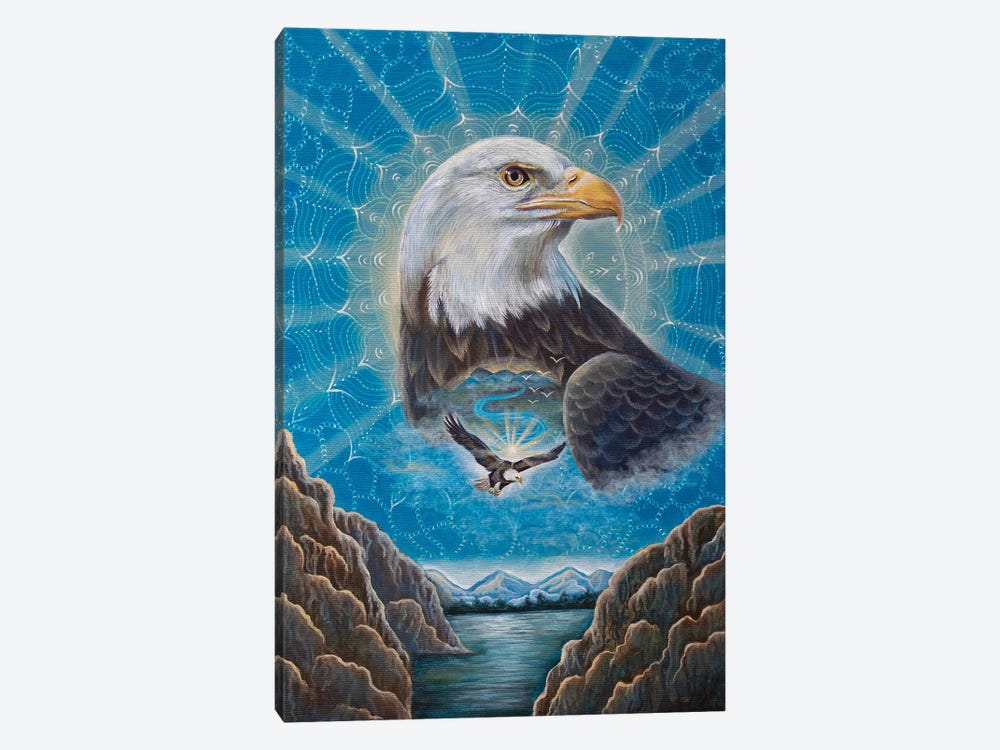 Bald Eagle Medicine by Verena Wild 1-piece Canvas Art Print