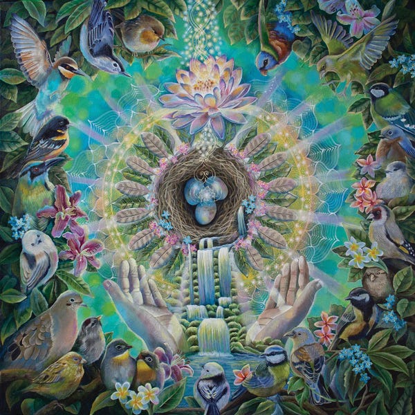 Lotuses: Divine Sanctuary by Verena Wild