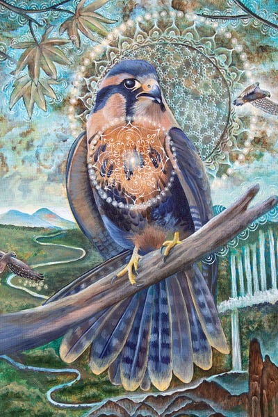 Mandalas: Free Spirit by Verena Wild