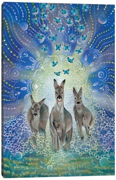 Departure Canvas Art Print - Kangaroo Art