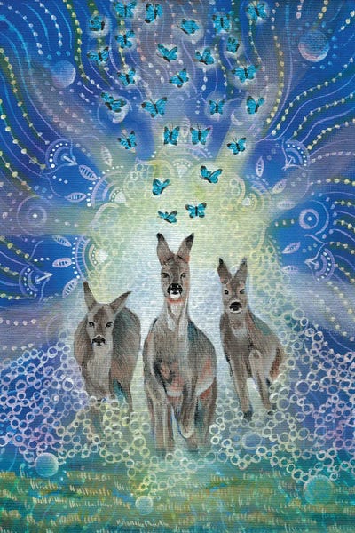 Kangaroos: Departure by Verena Wild