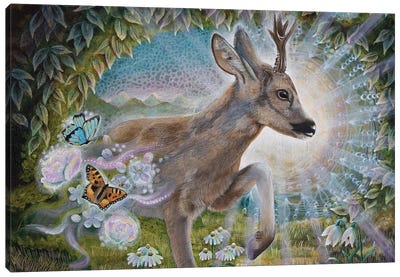Messenger Of Spring Canvas Art Print - Verena Wild