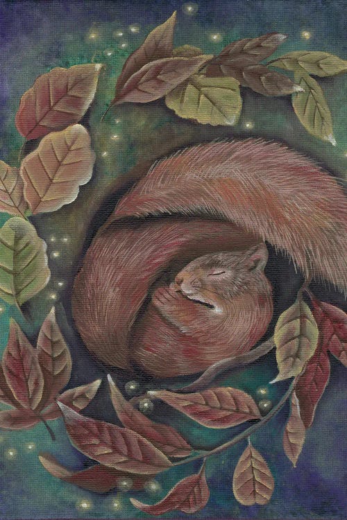 Dreaming Squirrel