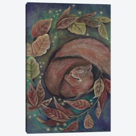 Dreaming Squirrel Canvas Print #VRW2} by Verena Wild Canvas Art