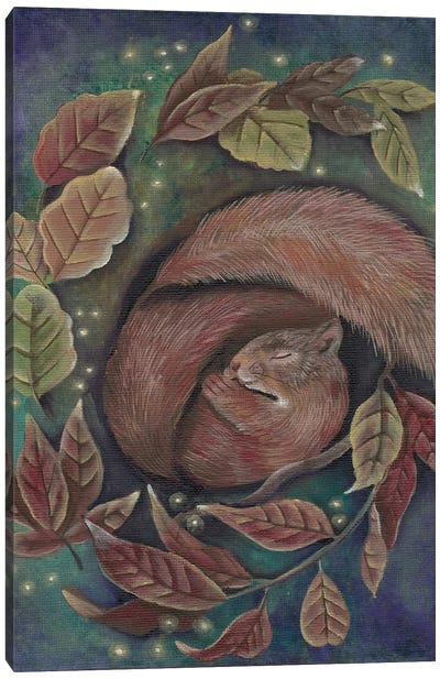 Dreaming Squirrel Canvas Art Print - Squirrel Art