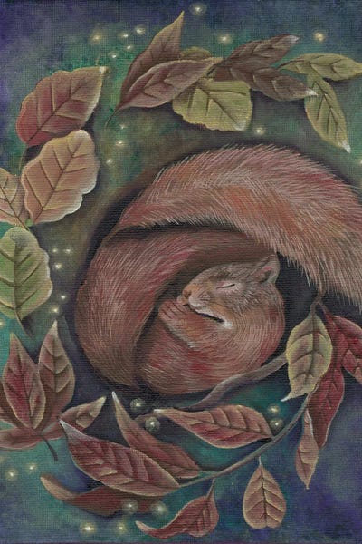 Squirrels: Dreaming Squirrel by Verena Wild