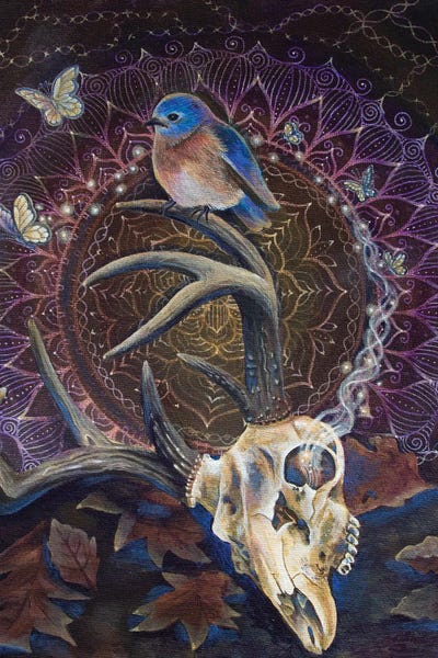 Mandalas: Sacred Cycle by Verena Wild