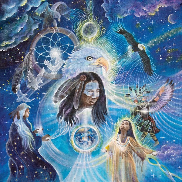 Dreamcatchers: The Eagle's Gift by Verena Wild