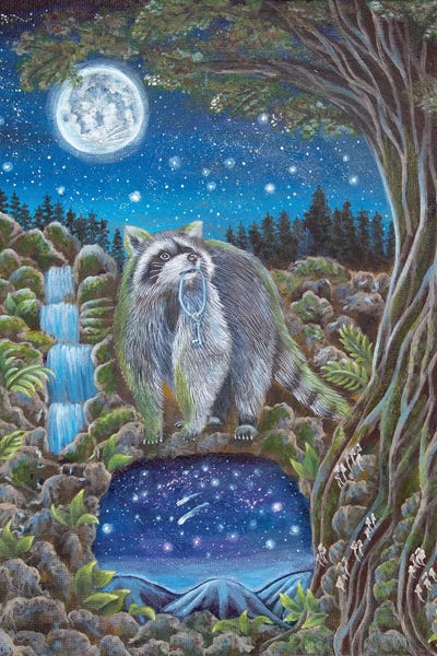 Raccoons: The Invitation by Verena Wild
