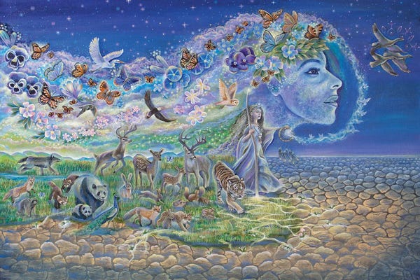 Environmental Conservation: Trail Of Restoration by Verena Wild