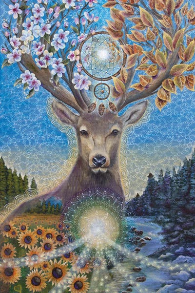 Dreamcatchers: Transitions by Verena Wild