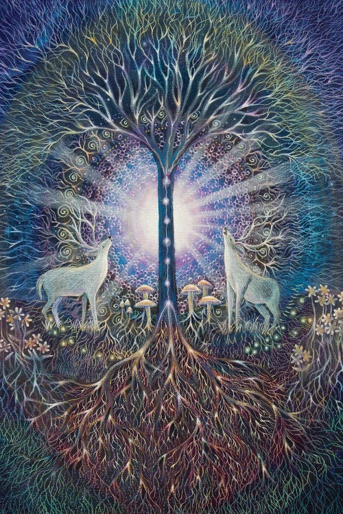 Up From The Ground by Verena Wild wall art