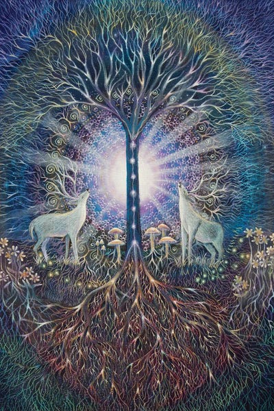 Deer: Up From The Ground by Verena Wild