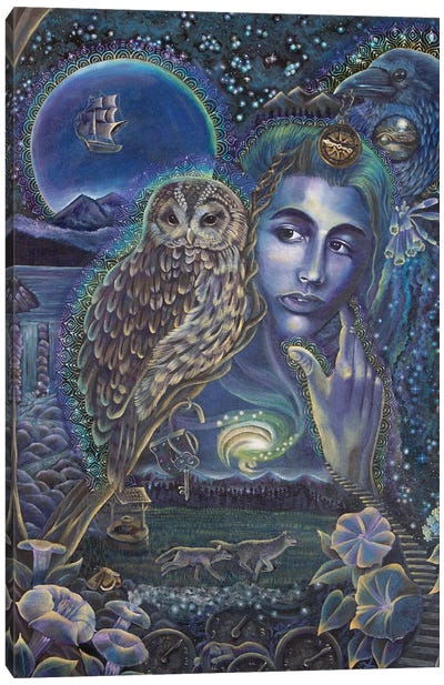 Whisper Of The Night Canvas Art Print - Verena Wild