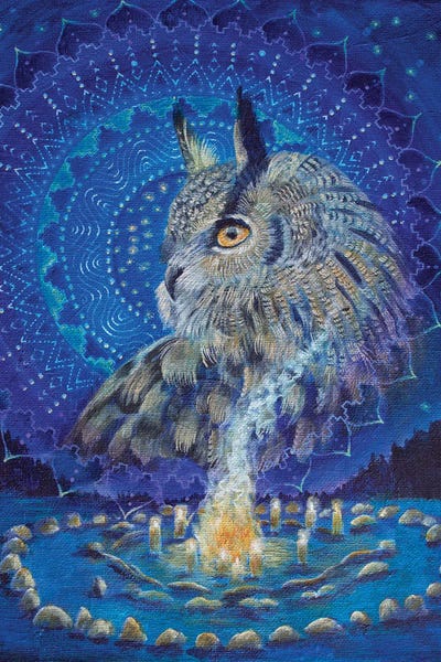 Mandalas: Wisdom Keeper by Verena Wild