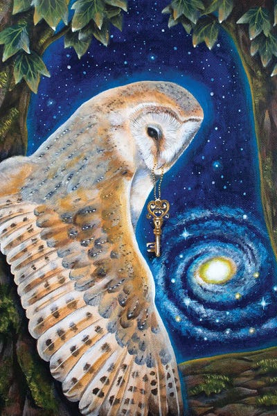 Looking Behind The Veil by Verena Wild canvas print