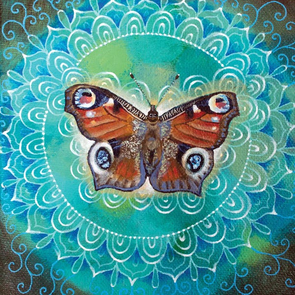 Peacock Butterfly