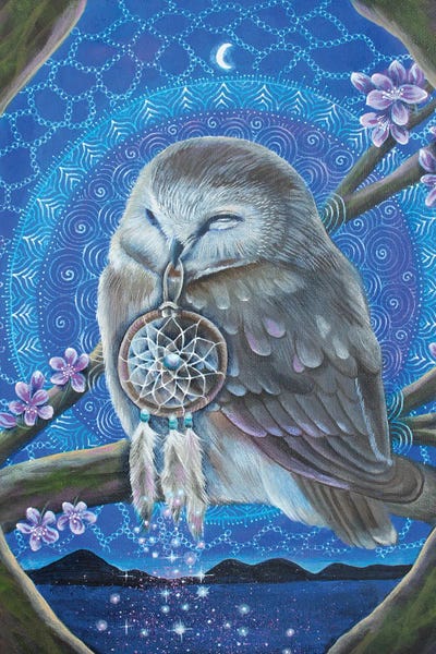 Dreams: Dreamtime by Verena Wild