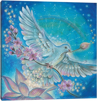 Messenger Of Peace Canvas Art Print - Dove & Pigeon Art