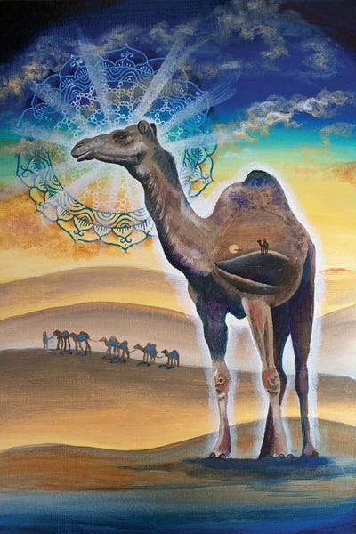 Camels: Soul Journey by Verena Wild