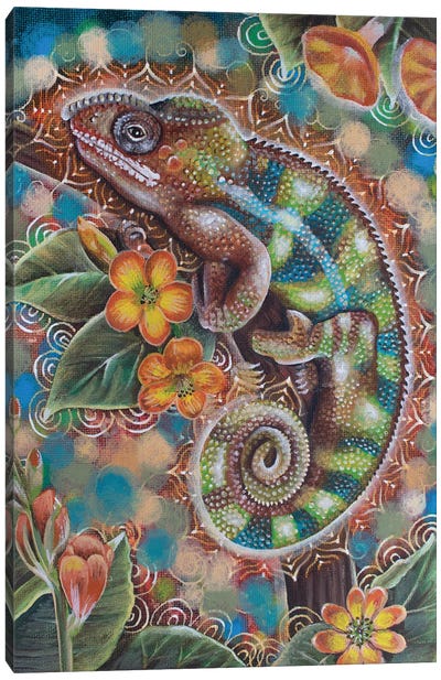 Chameleon Canvas Art Print - Verena Wild
