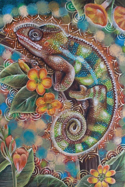 Chameleons: Chameleon by Verena Wild