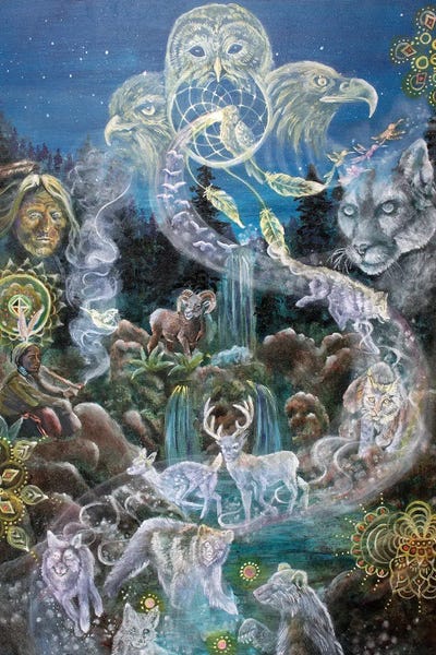 Dreamcatchers: Journey Within by Verena Wild