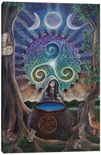 Magic Cauldron Canvas Art Print - Witch Art
