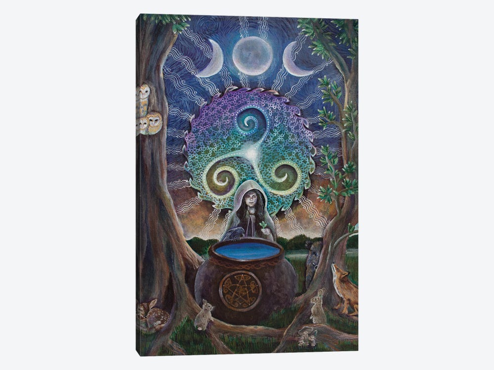 Magic Cauldron by Verena Wild 1-piece Canvas Wall Art