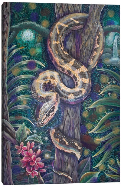 Snake Medicine Canvas Art Print - Snake Art