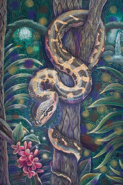 Snakes: Snake Medicine by Verena Wild
