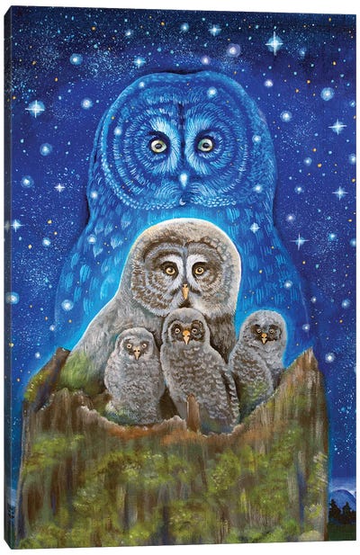 Ancestral Wisdom Canvas Art Print - Owl Art