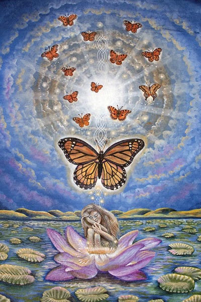 Wings Unveiled by Verena Wild framed wall art