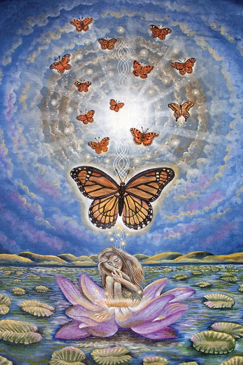 Wings Unveiled by Verena Wild wall art