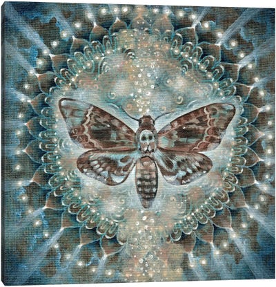 Hidden Knowledge Canvas Art Print - Mandala Art
